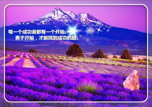 【推荐】生活记事作文300字汇总9篇