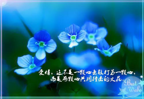 于丹教授语录