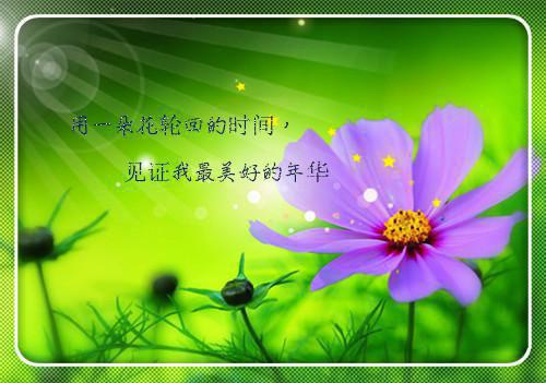 《我们爱科学》读后感范文5篇