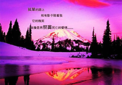 儿童睡前小花猫故事