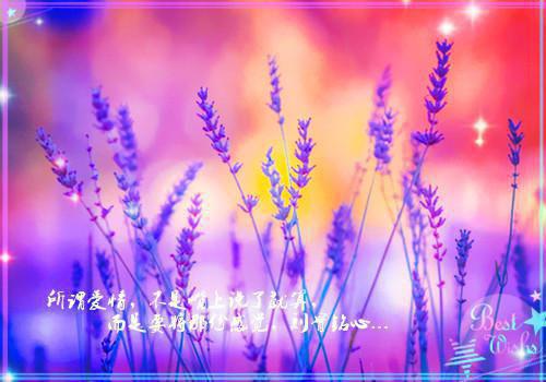 电影《红海行动》观后感