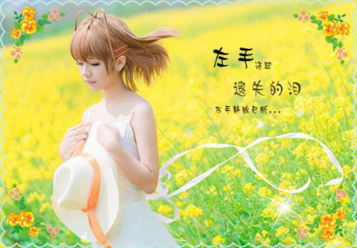 林夕经典语句