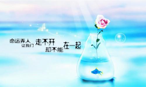 關系的關系困惑。。關系。關系。關系！關系！關系！關系