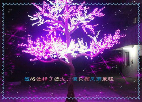 50句经典英文电影台词