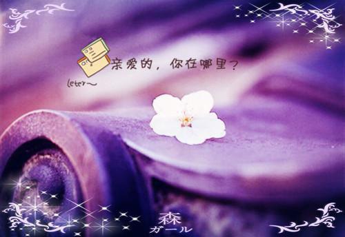 励志初中青春语录