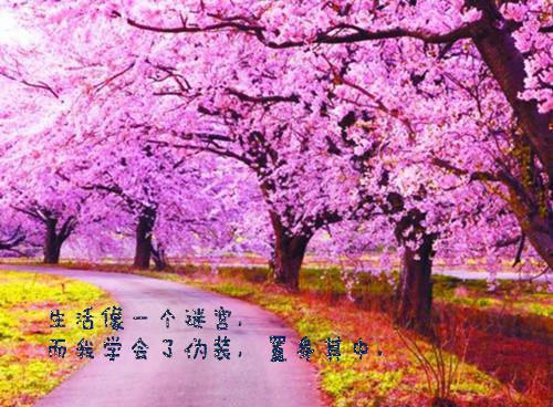 關(guān)于翡翠賭石的翡翠傳奇故事