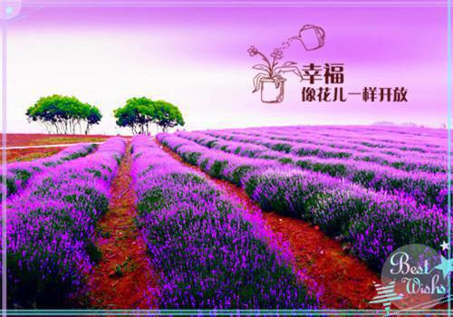 精选生活记事作文300字汇编10篇