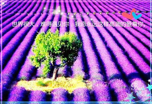 有远大志向的名言警句