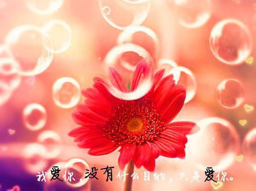 郭敬明有哪些一定要看的作品