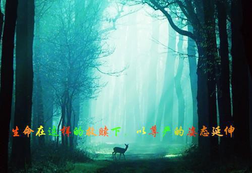 職場勵志小故事200字【三篇】