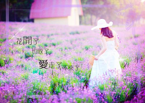 儿童睡前故事大象摔跤