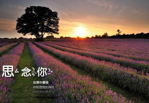 鼓励的励志警句大全