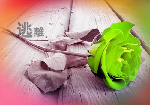 绕口令舌边音练习