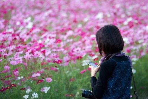 【实用】2022年伤感的语录大汇总79句