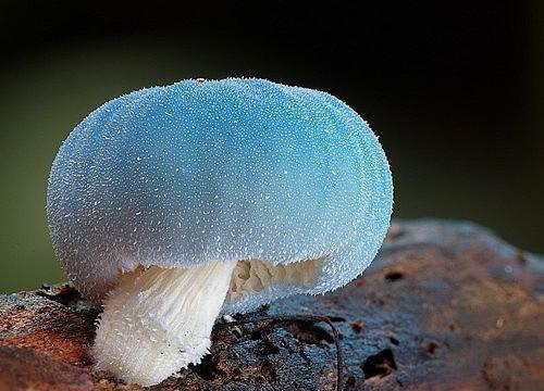 高尔基的名言
