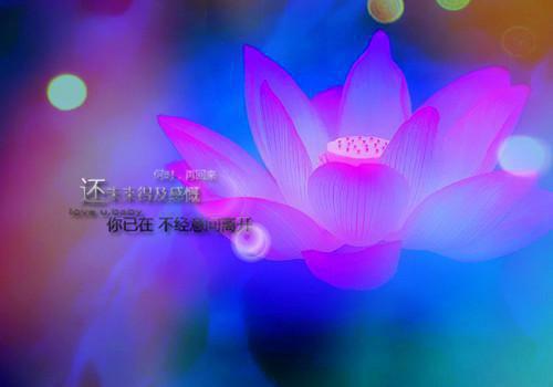 适合孩子从小读的经典励志名言