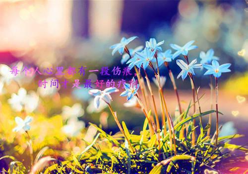 鼓励人生励志的文章