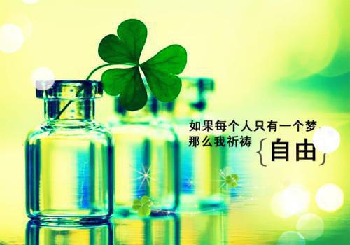 激励人成功的励志格言