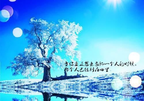 爸爸的爱作文【热门】
