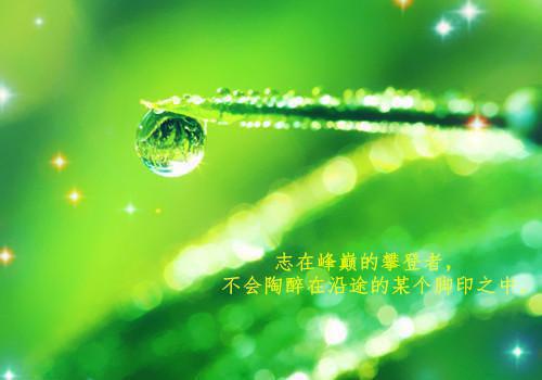 有關小麻雀的精選童話故事精選