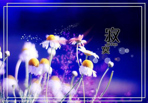 闺蜜间暖心的话