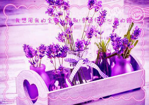 深情款款的情书