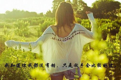 精选优美文艺句子合集100条