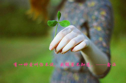 三年级日记我给妈妈做早饭