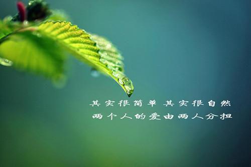 2022早上好正能量的句子大全励志正能量早安句子