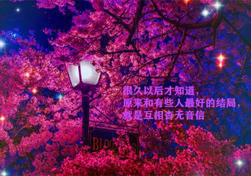 喇叭水仙的花语是什么