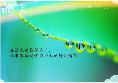 有关人生哲理作文集合10篇