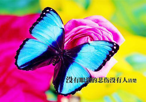 努力学习的名言警句有哪些