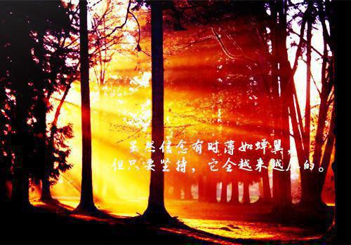 签名经典爱情语录