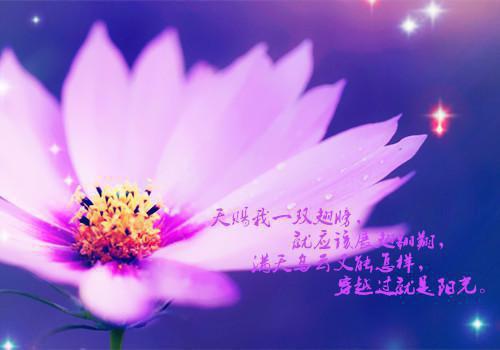表达心情不好的一句话