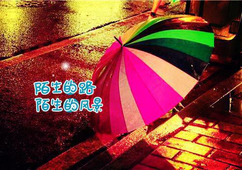 关于爱家的格言
