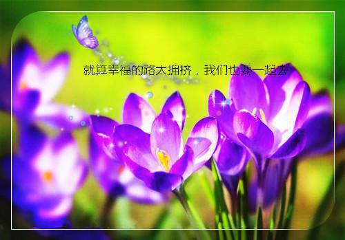 爸爸的爱作文(汇编10篇)