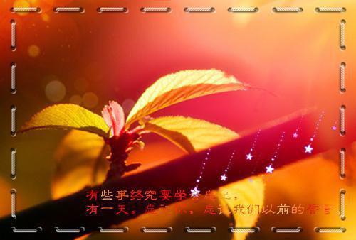 有关爱的名人名言