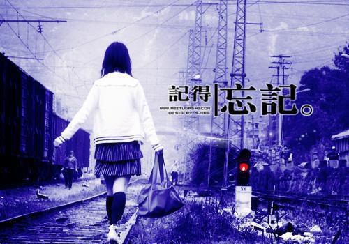 学习的名言大全
