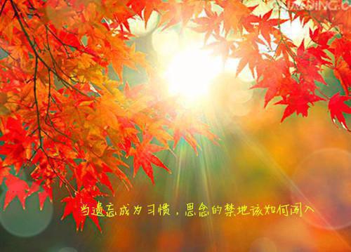 个性签名唯美句子
