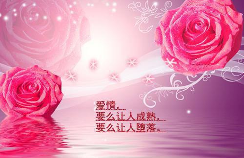 一句话正能量座右铭