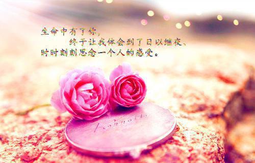 经典感情名言