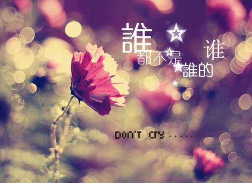 英文名人名言每日一句（中英文）