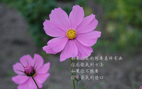 2021立冬唯美文案
