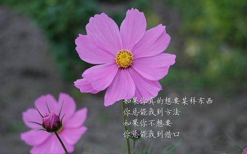 关于农业肥料谚语