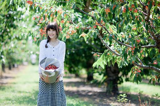 《最后一头战象》读后感400字作文（精选35篇）
