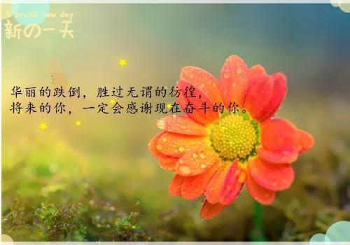 【推荐】帮妈妈做家务日记模板合集8篇