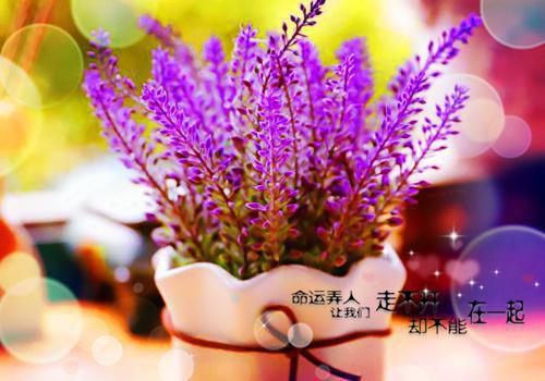 格林童话故事《小羊羔与小鱼儿》