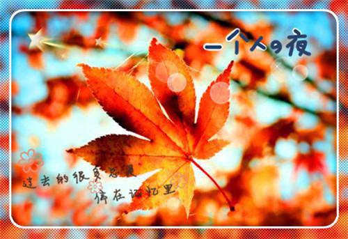 杨绛先生名言语录