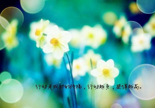 关于父母爱的散文