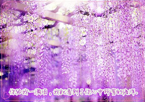 最有寓意的寓意寓簡(jiǎn)單的寓言小故事